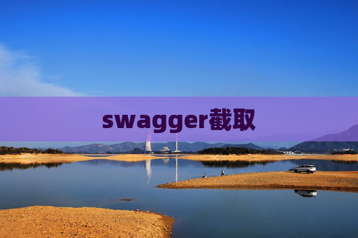 swagger截取